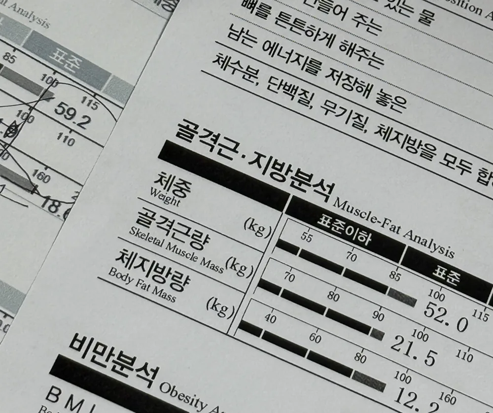 이*수 review media