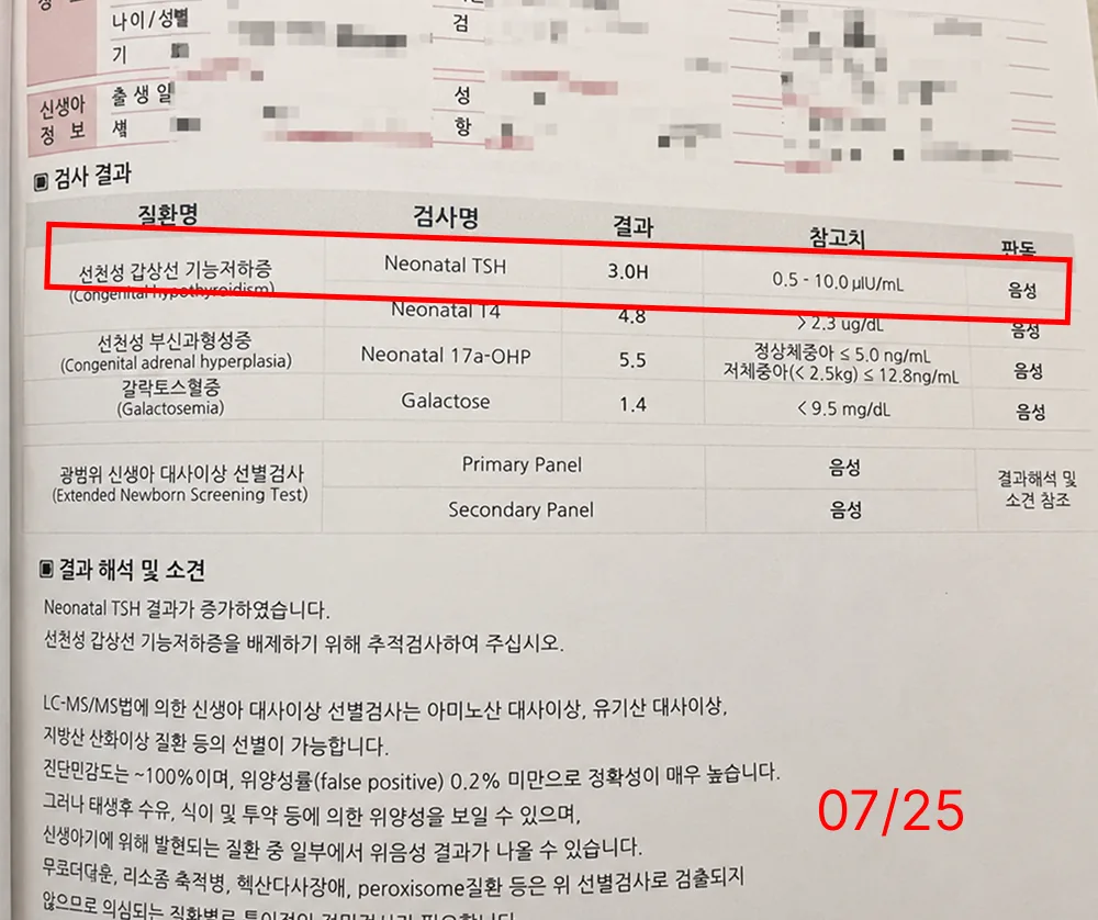이*수 review media
