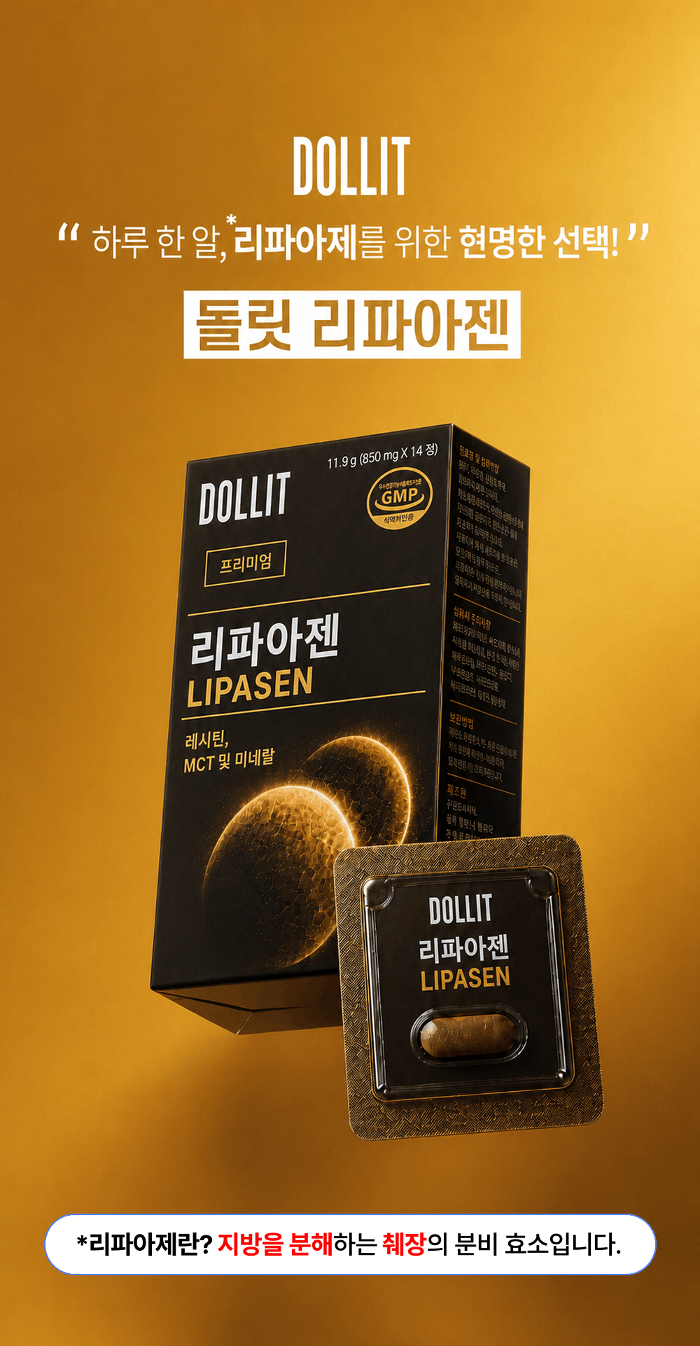 리파아젠 LIPASEN