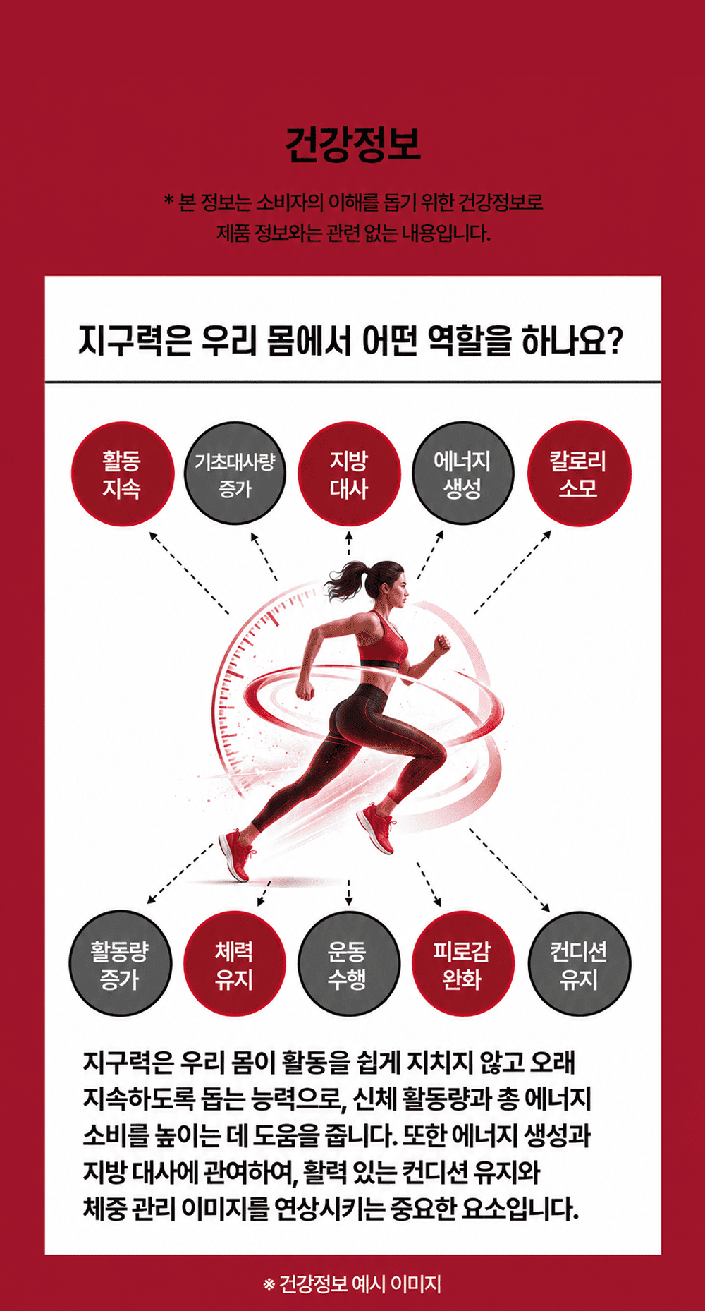옥타비카 OCTABCAA