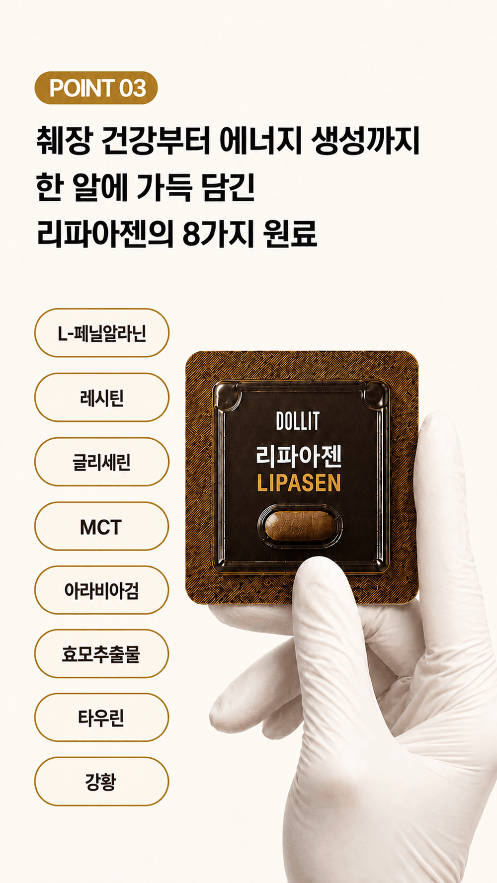 리파아젠 LIPASEN