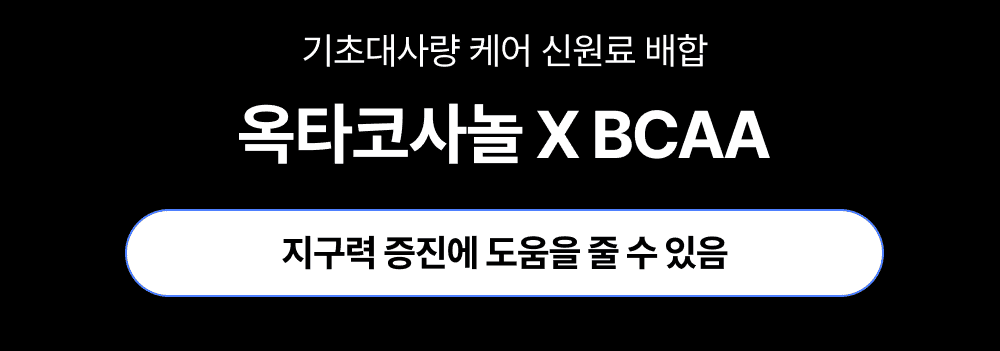 옥타비카 OCTABCAA