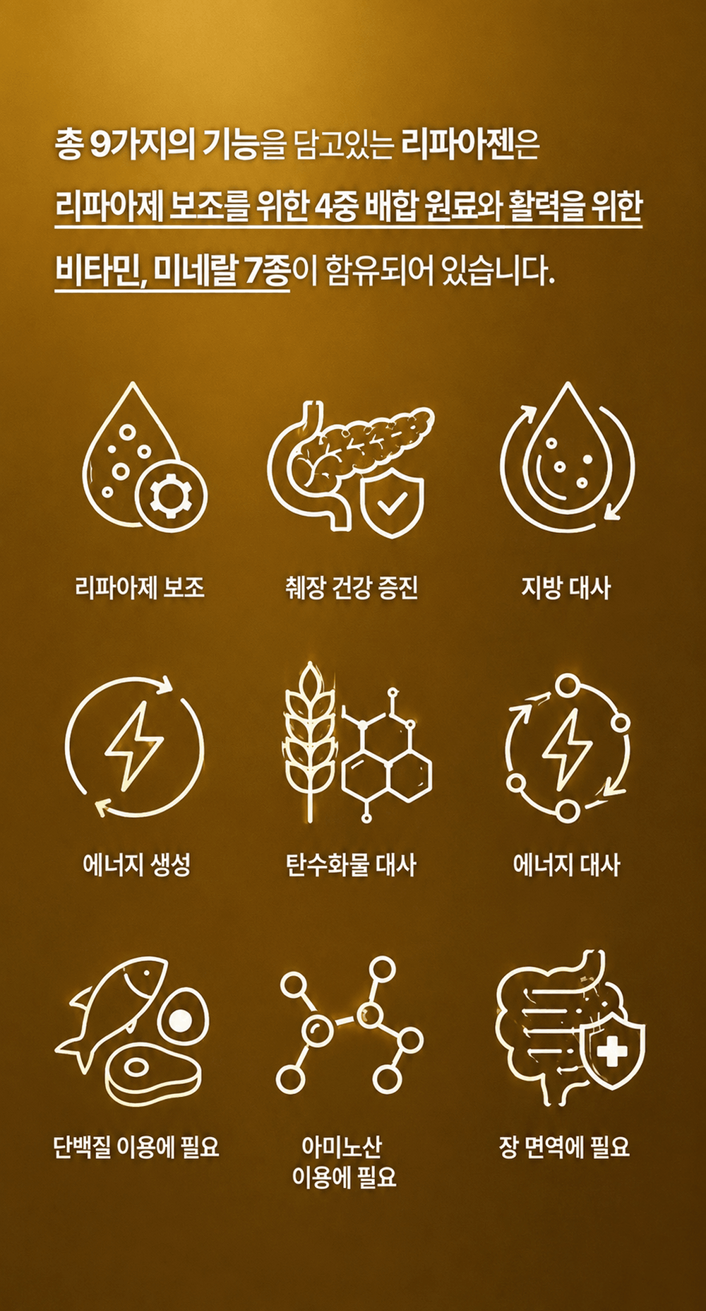 리파아젠 LIPASEN