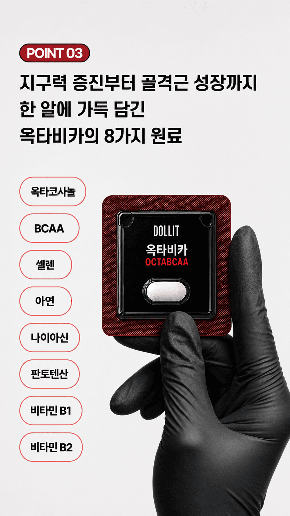 옥타비카 OCTABCAA