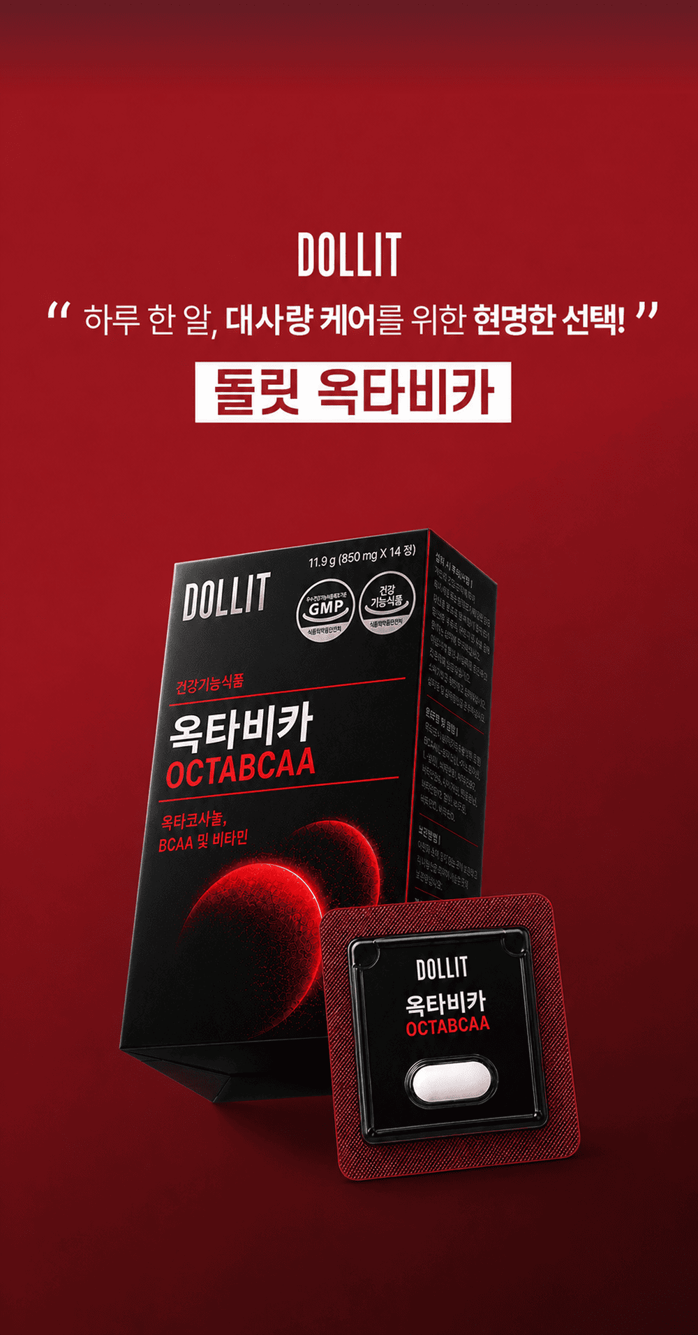옥타비카 OCTABCAA