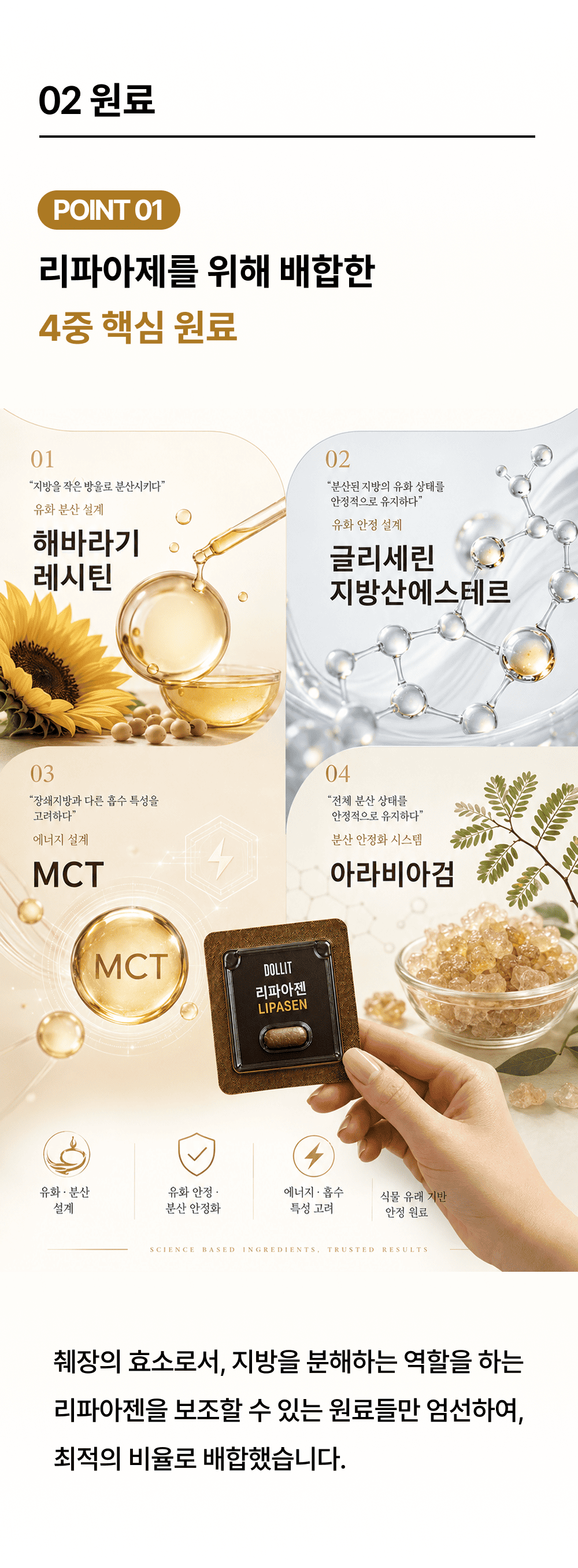 리파아젠 LIPASEN