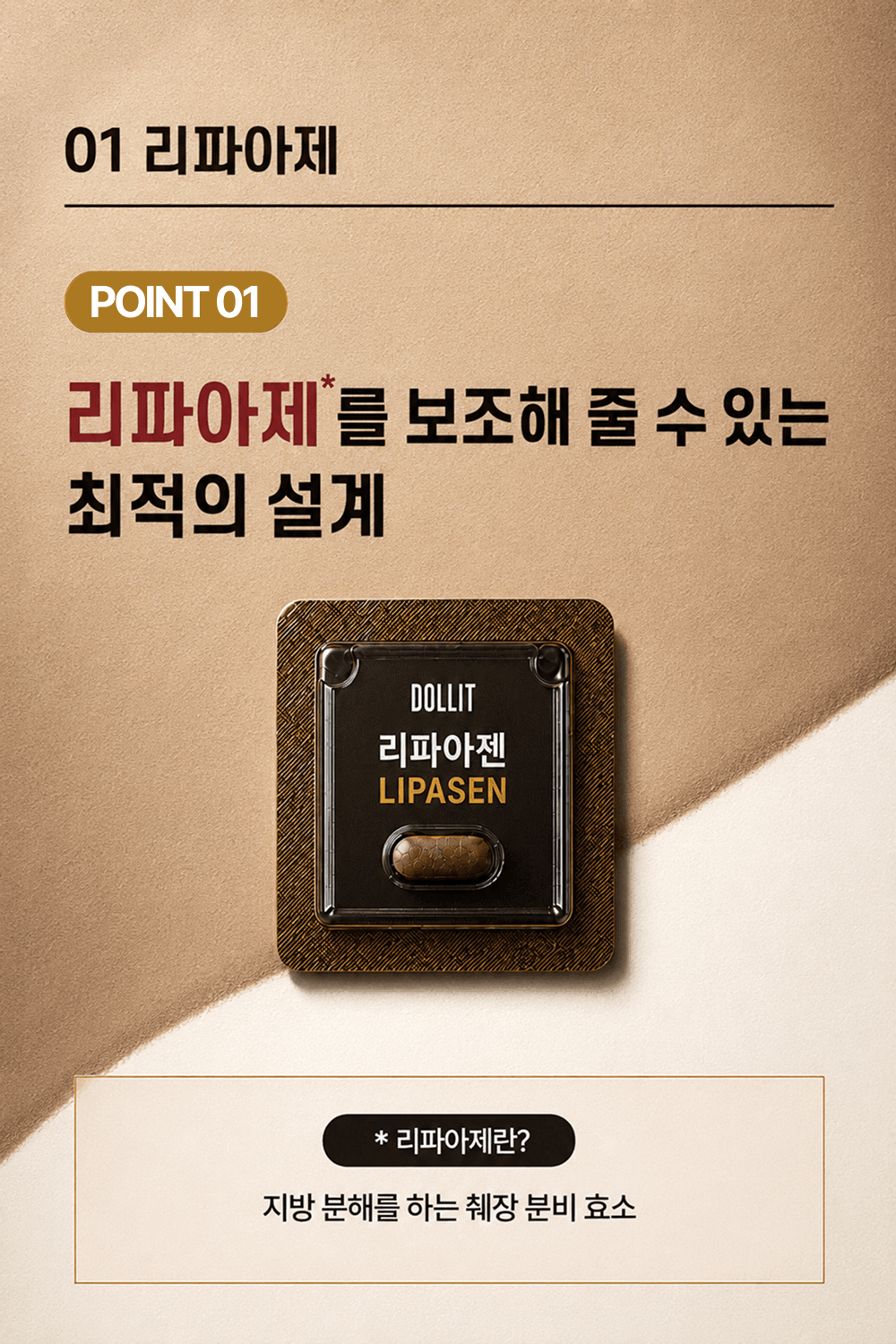 리파아젠 LIPASEN