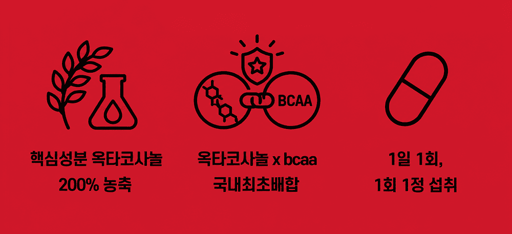 옥타비카 OCTABCAA