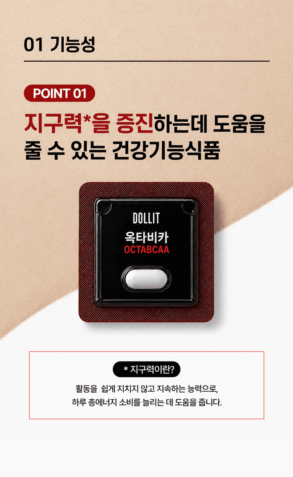 옥타비카 OCTABCAA