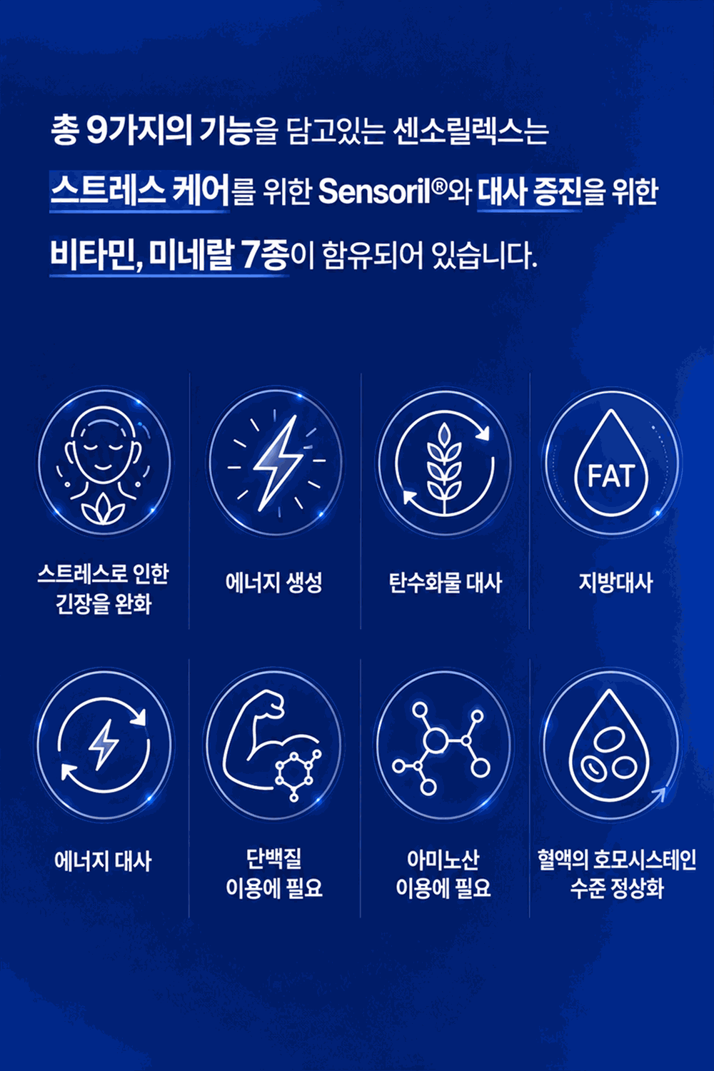 센소릴렉스 SENSORILAX