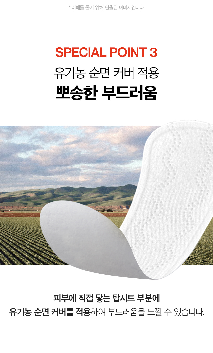 더 프리즘 유기농 순면커버 팬티라이너 12팩