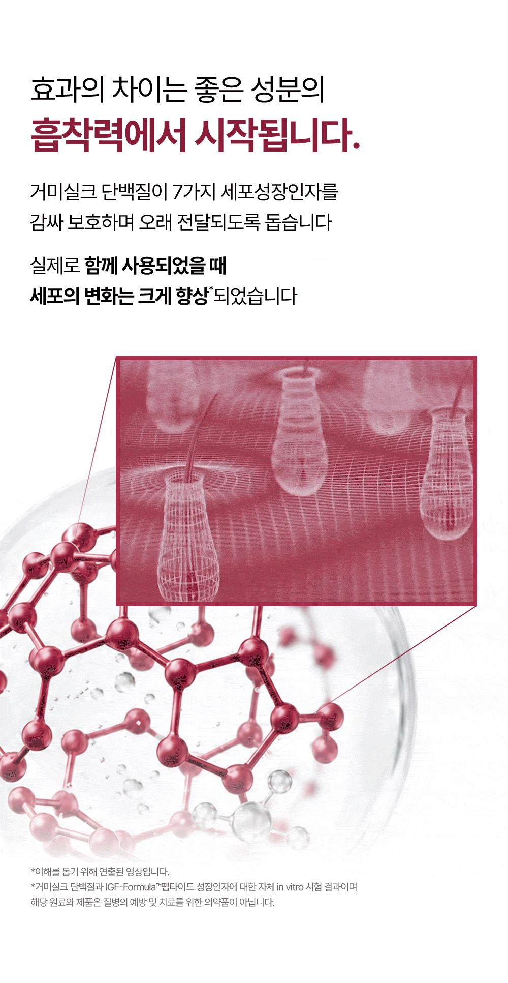 거미실크 단백질 트리트먼트 1개
