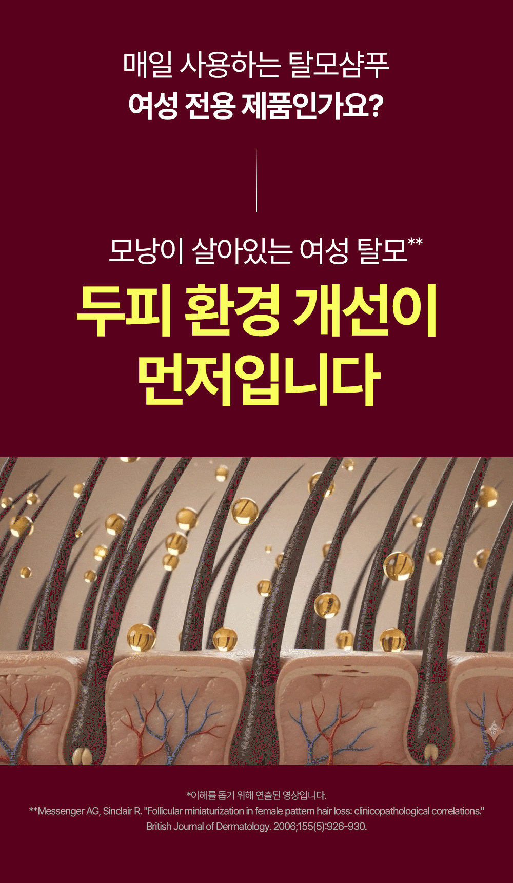 거미실크 단백질 탈모 샴푸