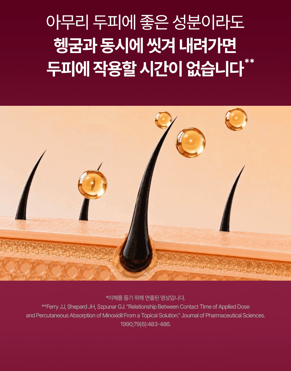 거미실크 단백질 탈모 샴푸