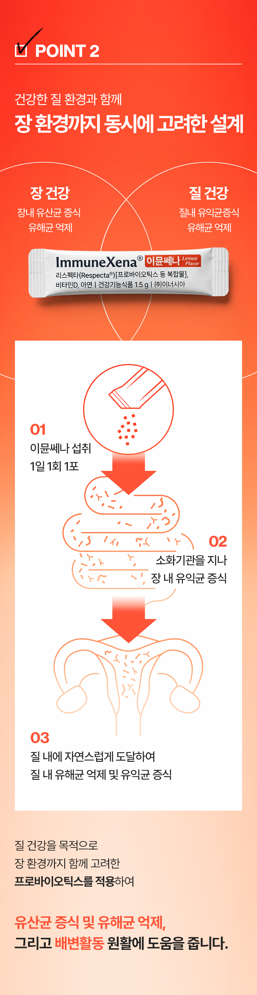 질유산균 & 멀티비타민 올인원 여성 영양제