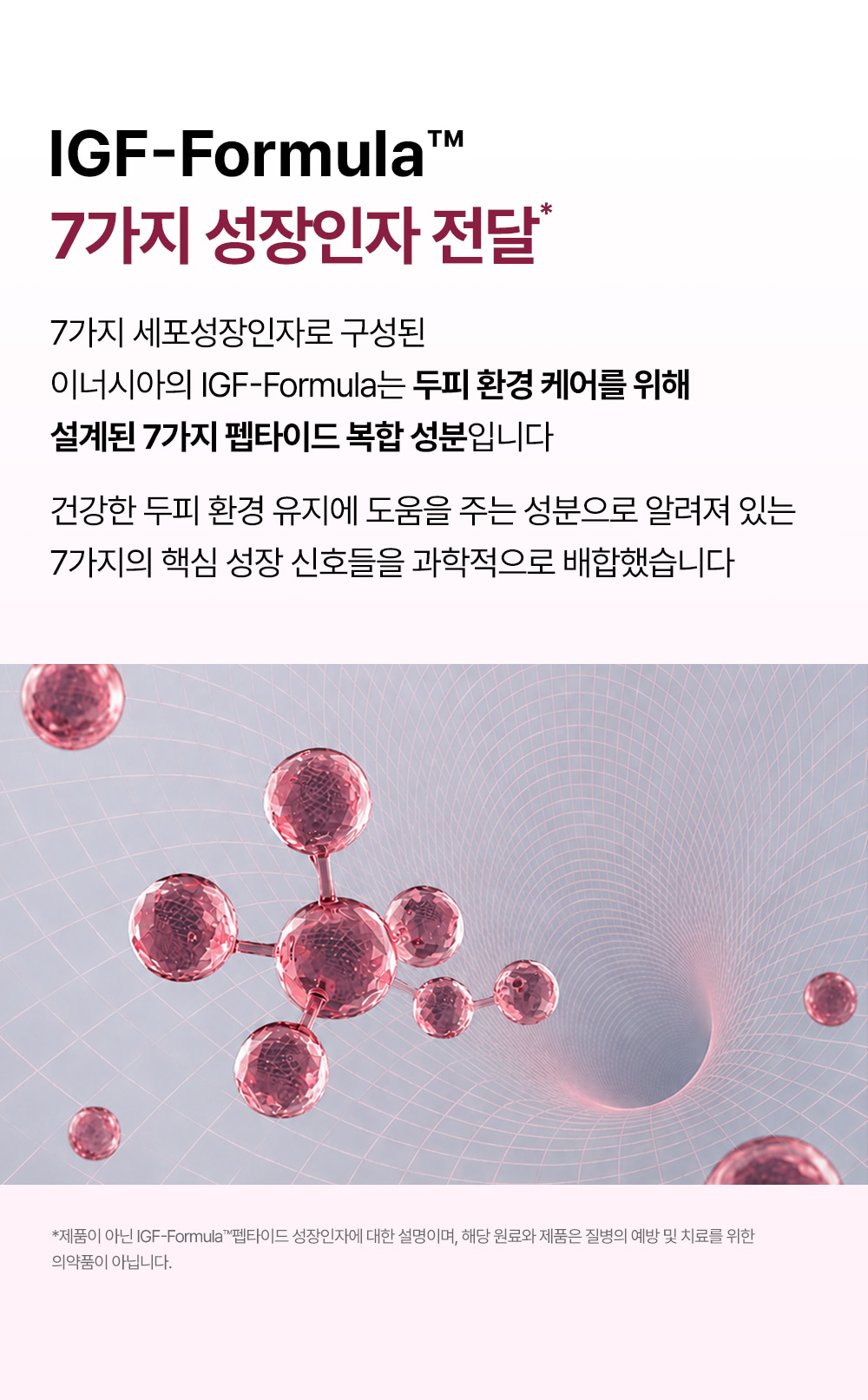 거미실크 단백질 탈모 샴푸