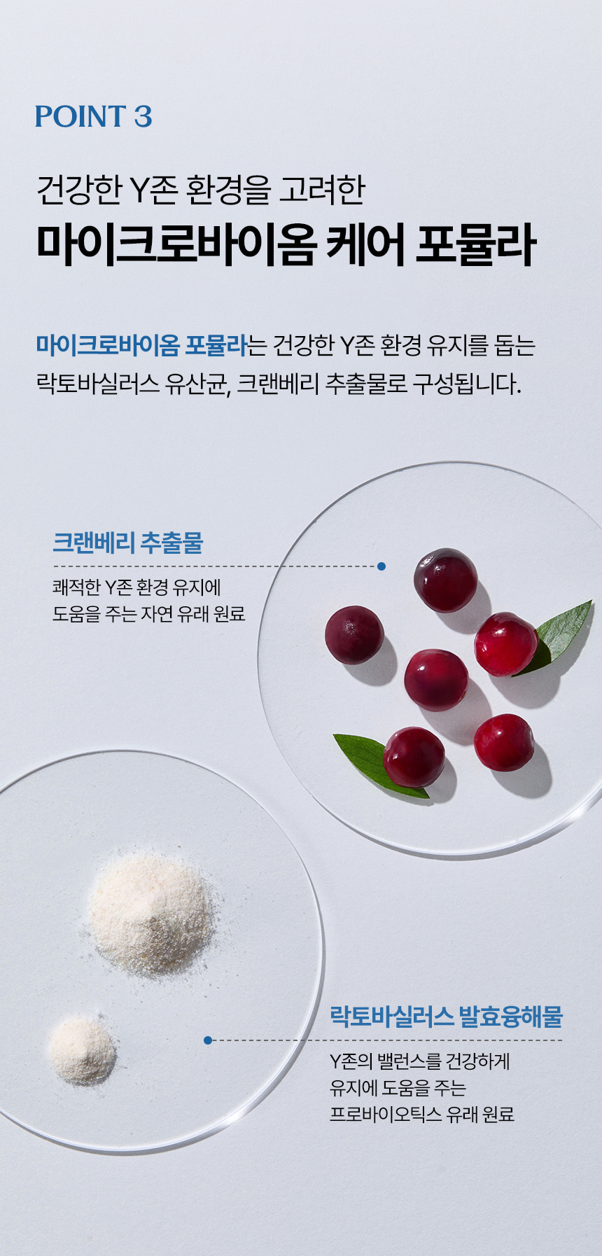 더 퓨어 여성청결티슈 (개별포장형)