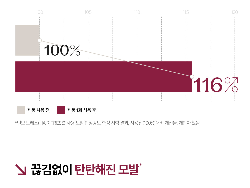 거미실크 단백질 트리트먼트 1개