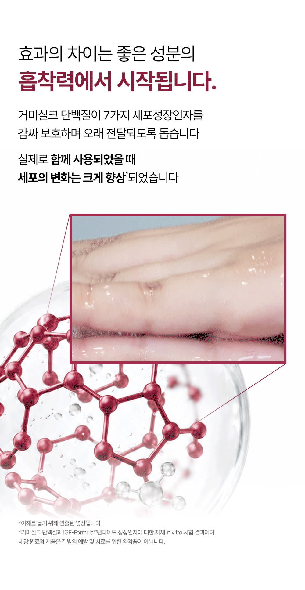거미실크 단백질 탈모 샴푸