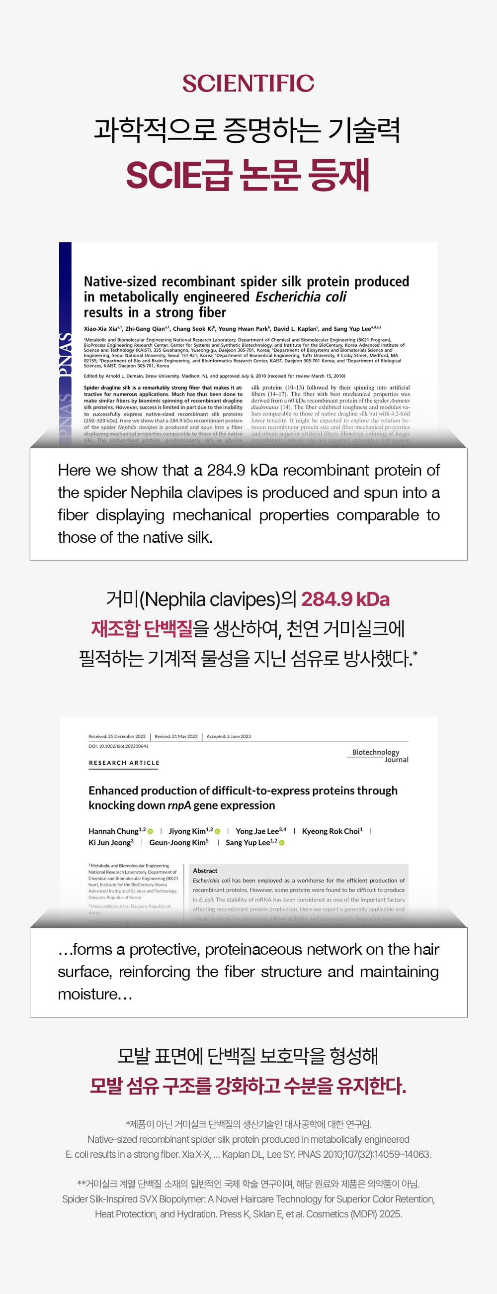 거미실크 단백질 트리트먼트 1개