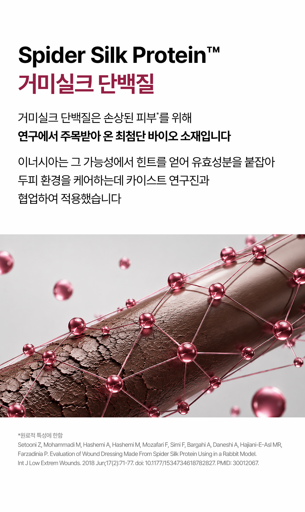 거미실크 단백질 트리트먼트 1개